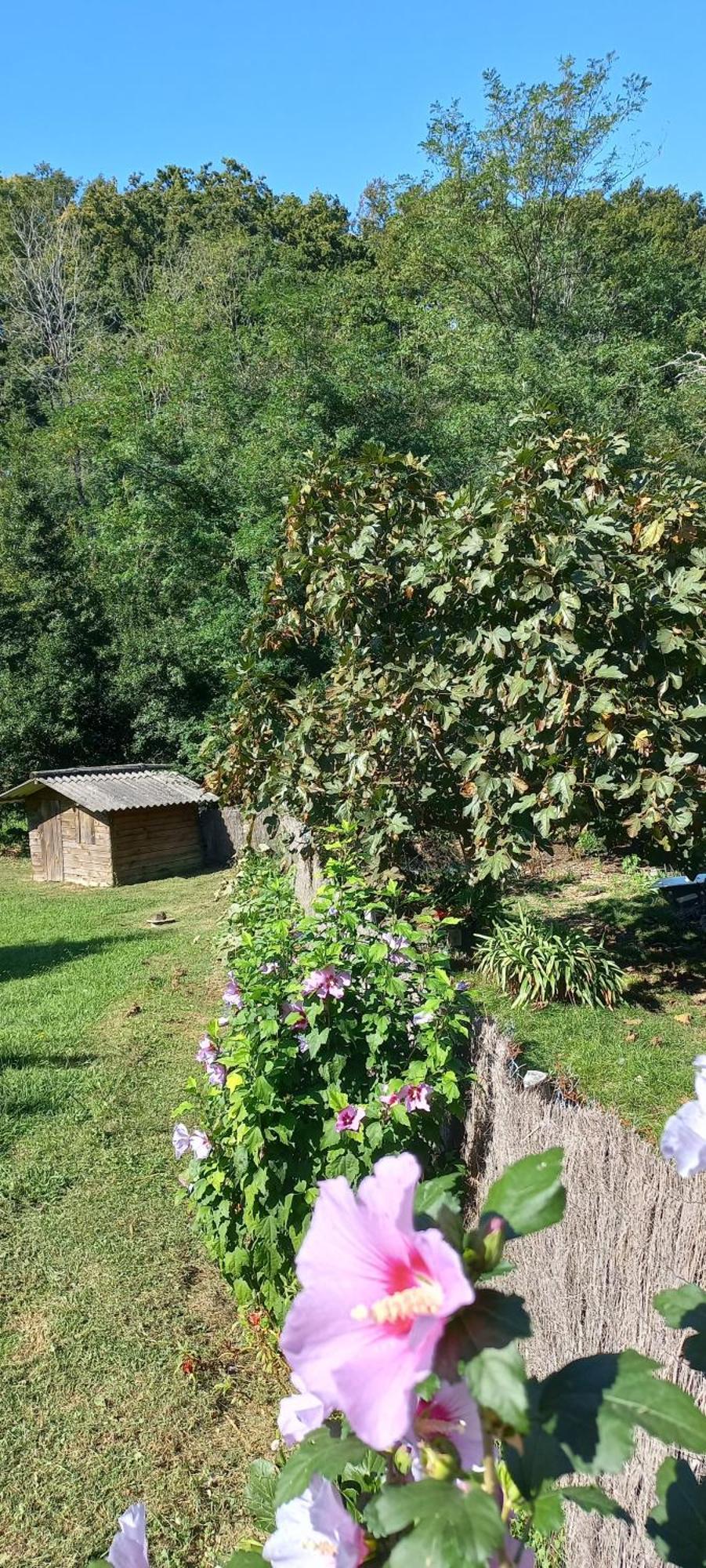 La Casa Bed&Breakfast Entree Independante 26M2 Calme Proche De Tout Wifi Parking Prive Jardin Terrasse Urrugne Bagian luar foto