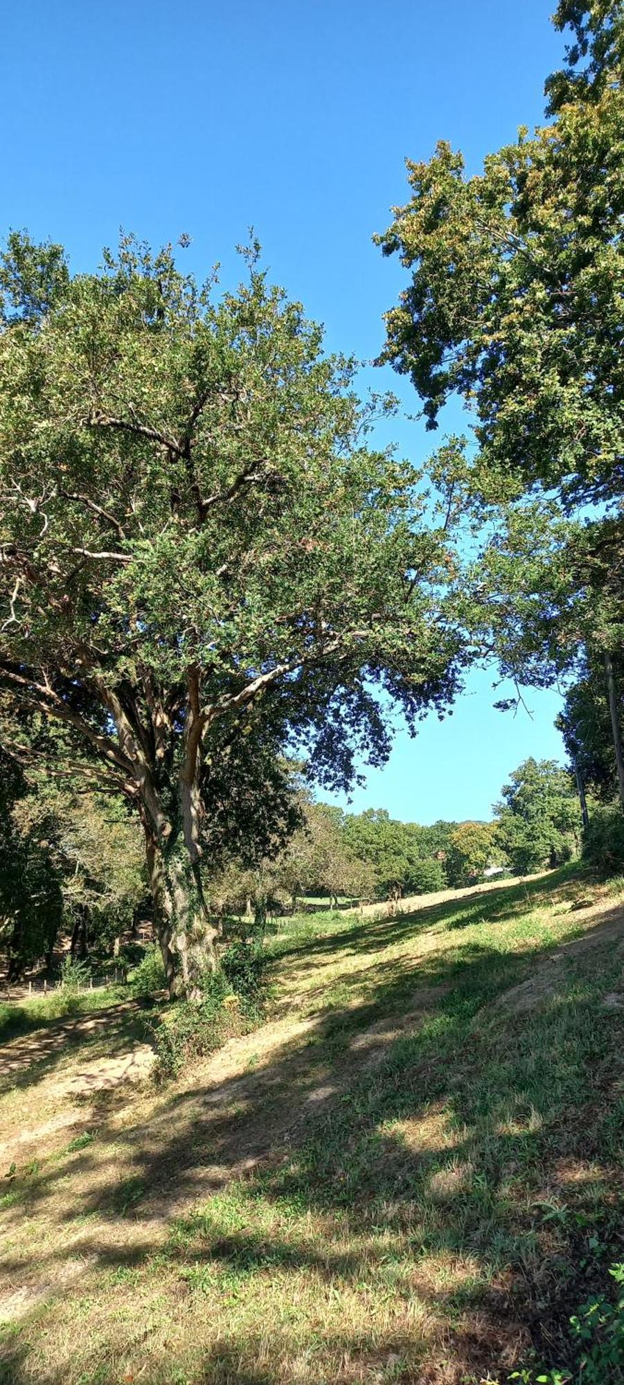 La Casa Bed&Breakfast Entree Independante 26M2 Calme Proche De Tout Wifi Parking Prive Jardin Terrasse Urrugne Bagian luar foto